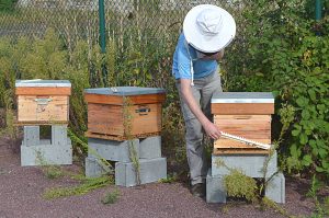 Uibie : ruches en entreprise