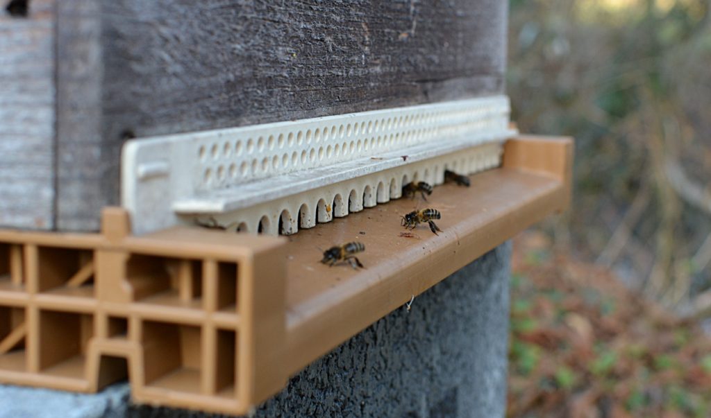 abeilles Leclerc Uibie