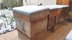hiver apiculture